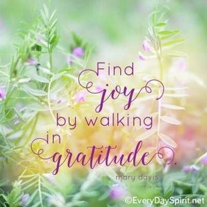 Meet your Posher, Philip-katie